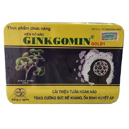  Ginkgomin – Tăng cường tuần hoàn não