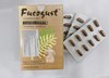 Fucogust - Hỗ trợ điều trị ung thư