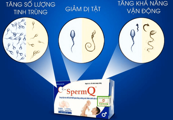 ​​​​​​​  Liều dùng và cách sử dụng thuốc SpermQ