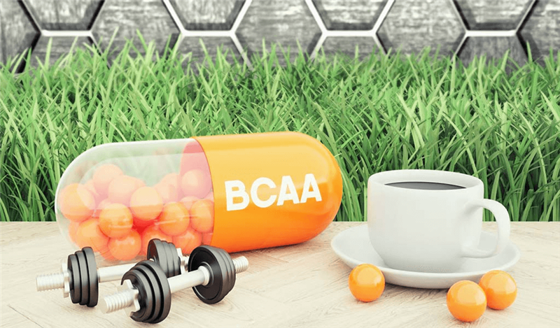 7 công dụng BCAA mang đến cho sức khỏe có thể bạn chưa biết