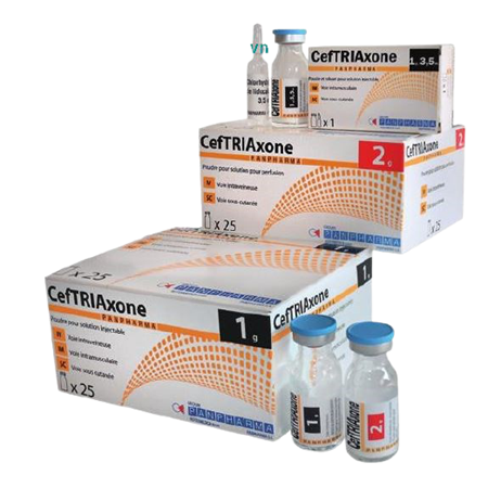 Thuốc Ceftriaxone LDP Torlan - Điều trị nhiễm khuẩn