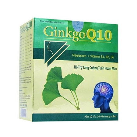 Thuốc Ginkgo Q10 – Hỗ Trợ Tăng Cường Tuần Hoàn Máu