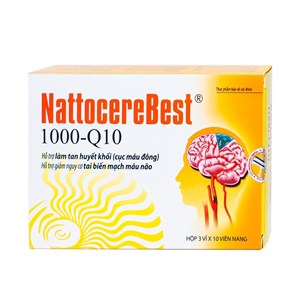 Thuốc Nattocerebest - Viên uống bổ não, trợ tim