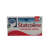  Statcoline 500 - Giúp làm giảm các triệu chứng thiểu năng tuần hoàn não