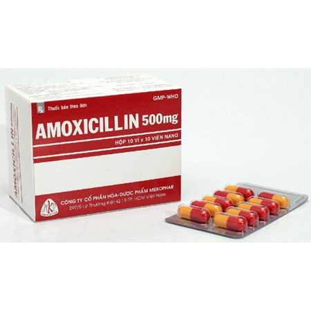Thuốc Amoxicillin - Hỗ trợ điều trị nhiễm trùng
