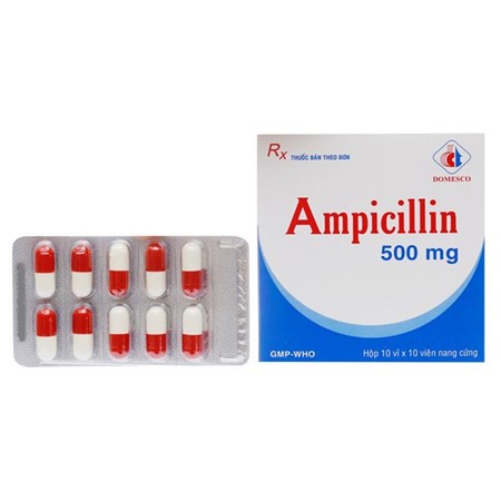 Thuốc Ampicillin - điều trị các bệnh nhiễm trùng do vi khuẩn. 