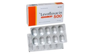 Thuốc Levofloxacin 500 - Thuốc điều trị nhiễm trùng hiệu quả của DHG