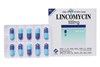 Thuốc Lincomycin Cap.500mg- kháng sinh kìm khuẩn. 