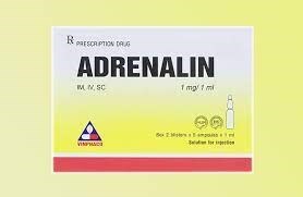 Thuốc Adrenaline - Cấp cứu shock phản vệ