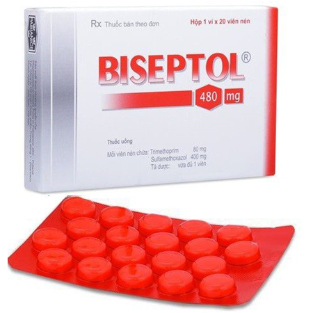 Thuốc Biseptol -  Điều trị nhiễm trùng