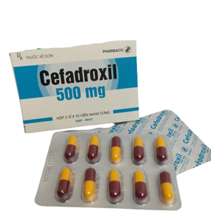 Thuốc Cefadroxil 500mg Pharbaco - Thuốc điều trị nhiễm khuẩn 