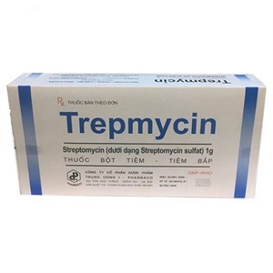 Thuốc Trepmycin 1g - kháng sinh