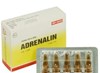 Thuốc Adrenalin – Thuốc cấp cứu, hồi sức tim phổi
