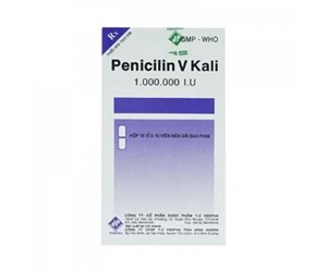 Thuốc Penicillin- kháng sinh Diệt khuẩn 
