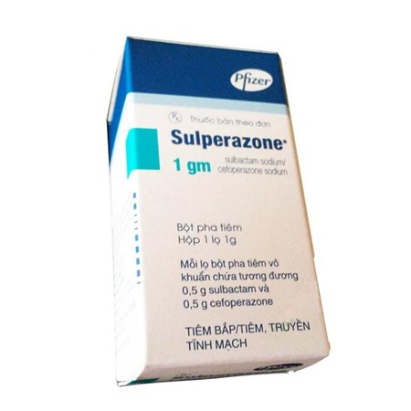 Thuốc Sulperazone 1g - Điều trị nhiễm khuẩn