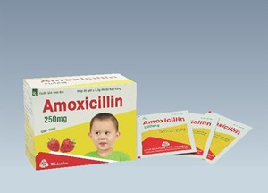 Thuốc Amoxicillin 250mg - Điều trị nhiễm khuẩn