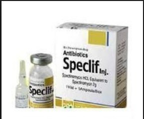 Thuốc Speclif 2g - Điều trị nhiễm khuẩn