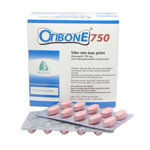 Thuốc Otibone 750 - Điều trị xương khớp
