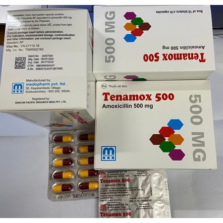 Thuốc Tenamox 500mg - Điều trị Nhiễm trùng hô hấp