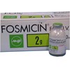 Thuốc Fosmicin 2g - Điều trị nhiễm khuẩn