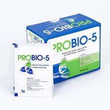 Thuốc Probio-5 - Hỗ trợ điều trị rối loạn tiêu hóa