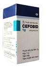 Thuốc Cefobid 1g - Điều trị nhiễm khuẩn