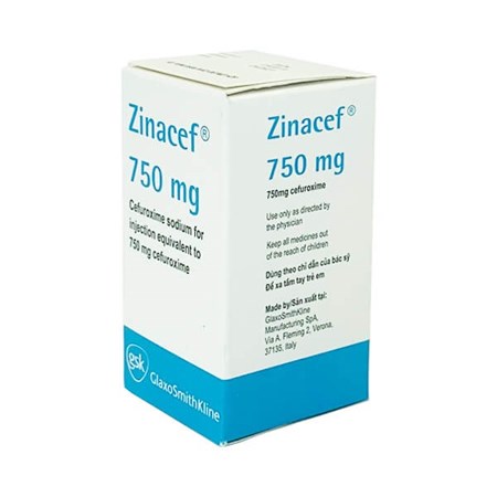 Thuốc Zinacef 750mg - Điều trị nhiễm khuẩn