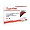 Thuốc Hepadays 140mg - Điều trị viêm gan, xơ gan