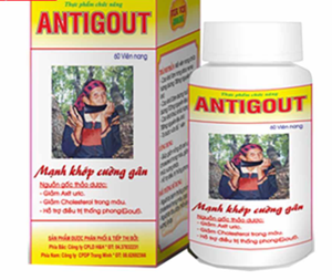 Thuốc Antigout - Điều trị Gút