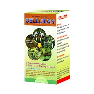Thuốc Cellutan – thanh nhiệt giải độc