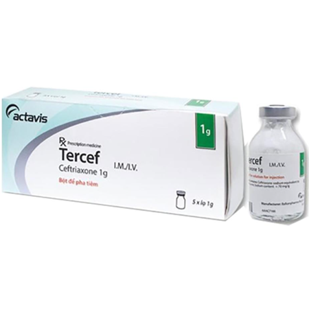 Thuốc Tercef 1g - Điều trị nhiễm khuẩn