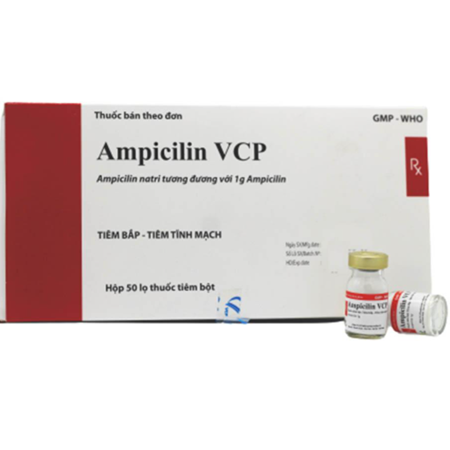 Thuốc Ampicillin VCP - Điều trị nhiễm khuẩn 