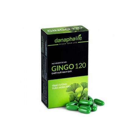 Viên nang mềm GINGO 120 – hỗ trợ lưu thông, tăng cường tuần hoàn não