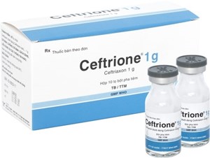 Thuốc Ceftrione 1g Bidiphar - Thuốc điều trị nhiễm khuẩn