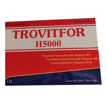 Thuốc tiêm Trovitfor H5000 - Bổ sung vitamin