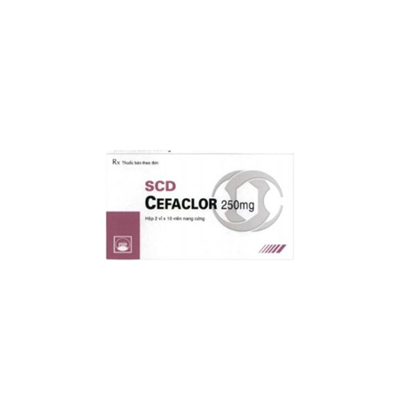 Thuốc SCD Cefaclor 250mg - Thuốc kháng sinh