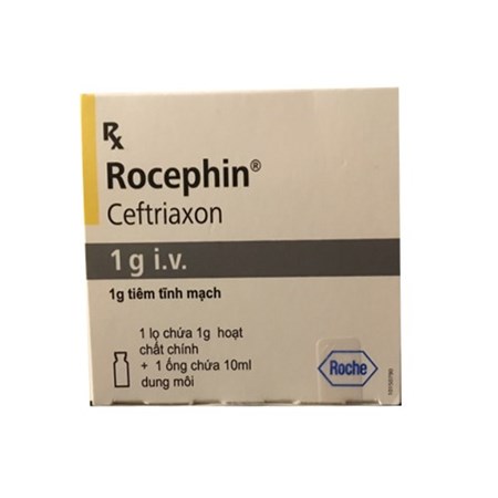 Thuốc Rocephin 1g IU - Điều trị nhiễm khuẩn hô hấp