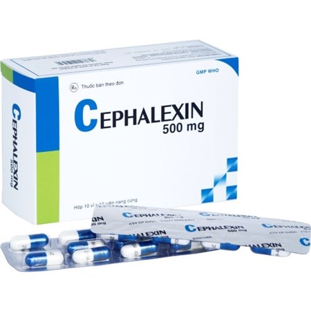 Thuốc Cephalexin 500mg Bidiphar - Thuốc điều trị nhiễm khuẩn hiệu quả
