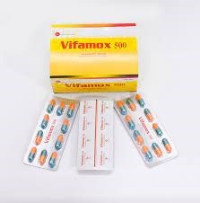 Thuốc Vifamox 500 - Thuốc điều trị nhiễm khuẩn của Vidiphar