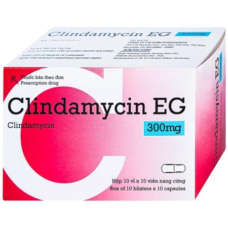 Thuốc Clindamycin EG 300mg - Điều trị nhiễm khuẩn