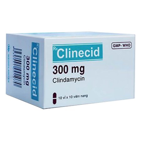 Thuốc Clinecid 300mg - Điều trị nhiễm khuẩn