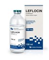 Thuốc Leflocin - Điều trị các trường hợp nhiễm khuẩn