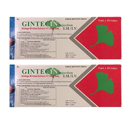 Thuốc Gintecin Injection - Điều trị rối loạn tuần hoàn máu não