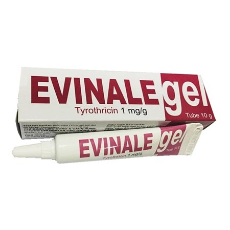 Thuốc Evinale gel - Thuốc chống nhiễm khuẩn