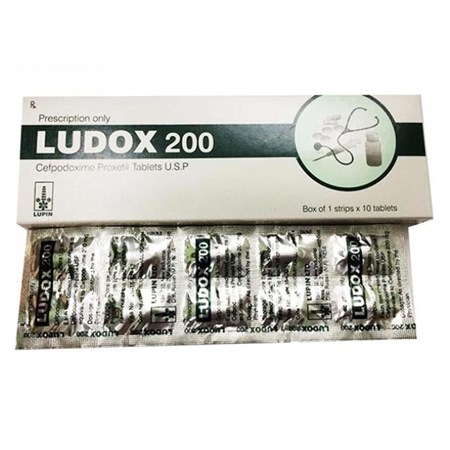 Thuốc Ludox 200  điều trị nhiễm khuẩn đường hô hấp