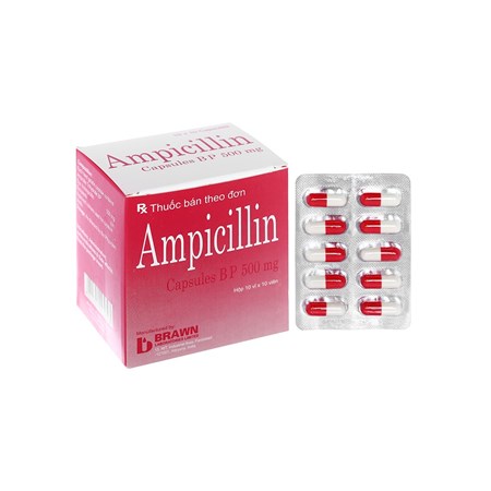Thuốc Ampicillin Brawn 500mg trị nhiễm khuẩn