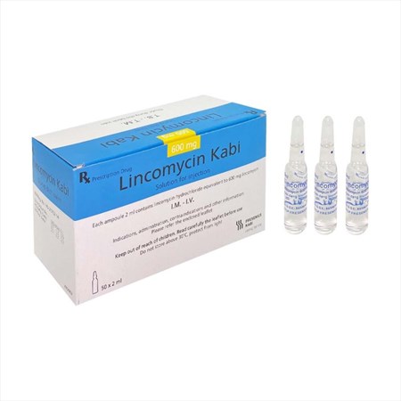 Thuốc Lincomycin Kabi - Điều trị nhiễm khuẩn