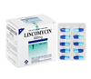 Thuốc Lincomycin 500mg trị nhiễm khuẩn tai, mũi và họng