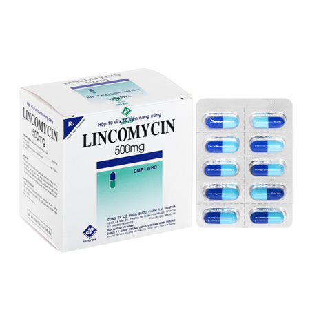 Thuốc Lincomycin 500mg trị nhiễm khuẩn tai, mũi và họng