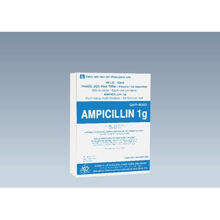 Thuốc Ampicillin 1g - Thuốc kháng sinh trị bệnh hiệu quả